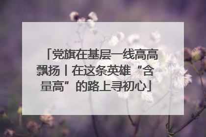 党旗在基层一线高高飘扬丨在这条英雄“含量高”的路上寻初心